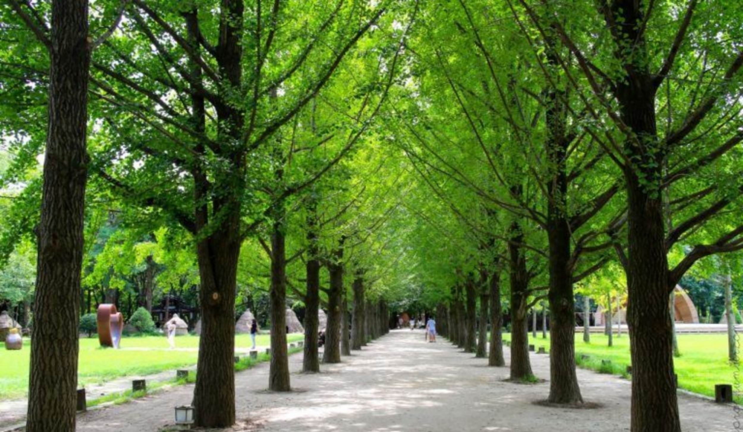 Suara Ahl al-‘Izzah dari Nami Island, Korea Selatan