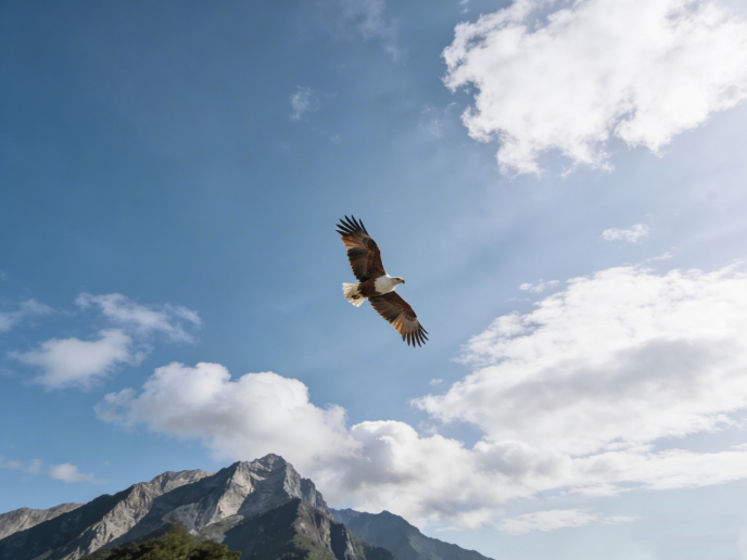Large brown and white eagle gliding with wings spread against a blue sky above rugged mountain peaks and scattered clouds.